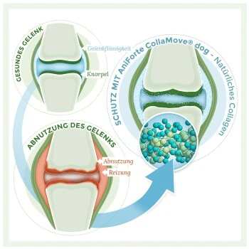 Aniforte CollaMove Kollagen Dog 250 G 8 Aniforte CollaMove Kollagen Dog 250 G – Bild 6