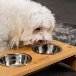 Lionto Erhöhte Futterstation Aus Bambus Braun/ Silber S -Hundebedarf ff2eba128a0d6b75a70cc824dc213b8dd85d734a 1665921 de DE e23b5a688ebe67bbe1f23e079b16083d61ef18cdlFh9kV